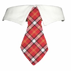 Richie Shirt Collar