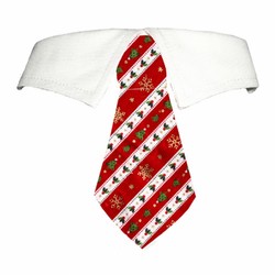 Timmothy Shirt Collar