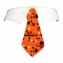 Pumpkin Shirt Collar