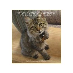 What's The Matter With Henry?  The True Tale of a Three- Legged Cat