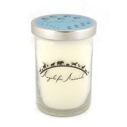 12oz Soy Blend Jar Candle - Rainforest Orchid