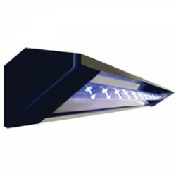 R2 Signature Series Light - 4/Case