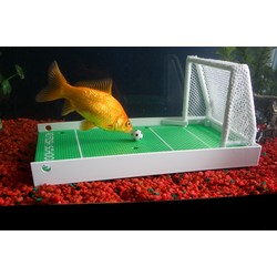 R2 Fish School - 4/Case