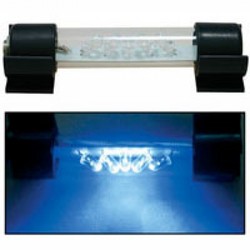 R2 Extreme LED Moonlight - 5/Case