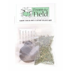 Grow Your Own Catnip Plant Kit - 6/Case