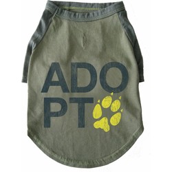 Adopt Raglan Tee