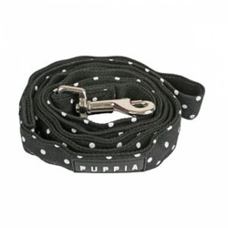 Dotty Lead