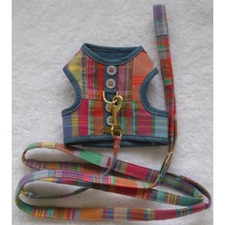 Hyannis Leash