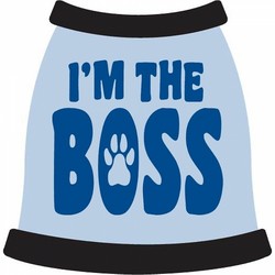 I'm The Boss