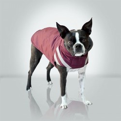 COATS:  Winter Parka