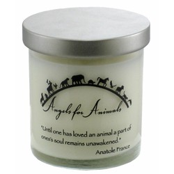 Memorial Candle - 9oz Healing Rain