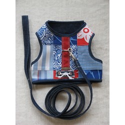 Surfer Dude  Leash