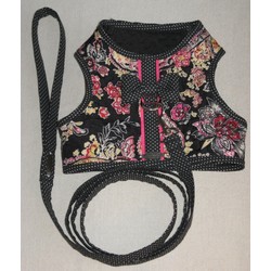 Ascot Leash