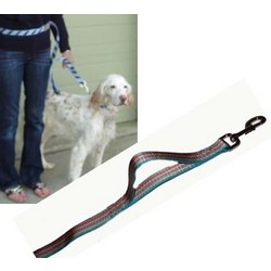 Patterned Nylon Hands Free Leash