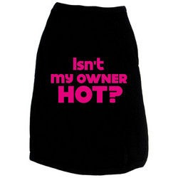 Isn't My Owner Hot?