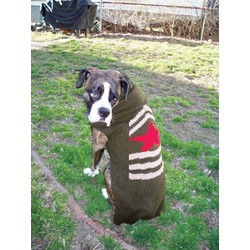 Army Sweater