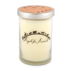 12oz Soy Blend Jar Candle - Pumpkin Souffle