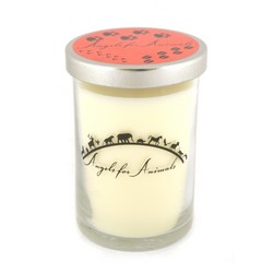12oz Soy Blend Jar Candle - Mandarin