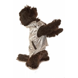 Doggy Stardust