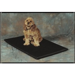 Polyester Fiber-Terry Crate Mat w/Non Skid Bottom