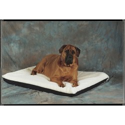 Orthopedic Single Foam Layer Fleece/Fabric