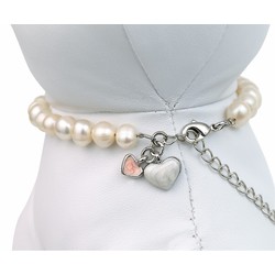Pet Necklaces