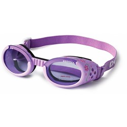 ILS Doggles