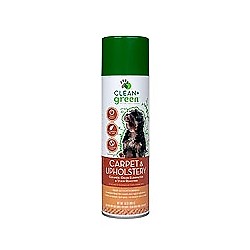 Carpet & Upholstery Cleaner - 16 oz. (6/Case)