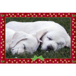 7" x 5 " Greeting Cards - Christmas #2