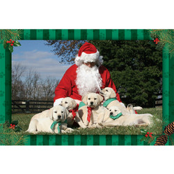 7" x 5 " Greeting Cards - Christmas #3
