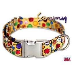 Sammy Collar/Lead