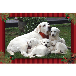 7" x 5 " Greeting Cards - Christmas #5