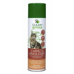 Carpet & Upholstery Cleaner for Cats - 16 oz. (6/Case)