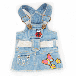 Zoey Denim Dress