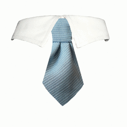 Mason Shirt Collar
