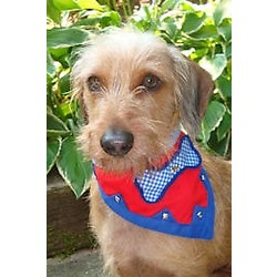 Bone-a-fido