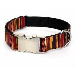 Zeus Collar/Lead