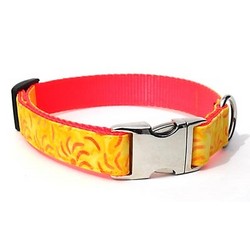 Sundog Collar/Lead