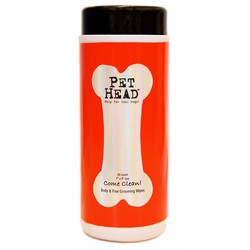 Come Clean Body Wipes