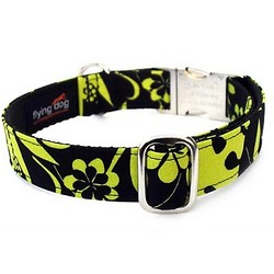 Lotus Collar/Lead
