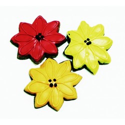 Seasonal Blooms