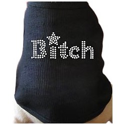 Bitch Rhinestone T-Shirt