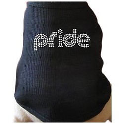 Pride Rhinestone Dog T-Shirt