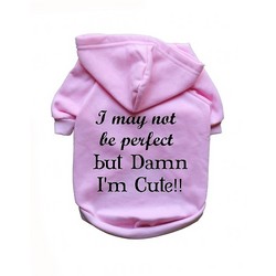 I May Not Be Perfect But Damn I'm Cute!!- Dog Hoodie