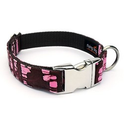 Taylor Collar/Lead