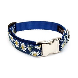 Daisy Collar/Lead