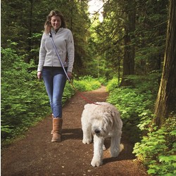 KURGO QUANTUM LEASH