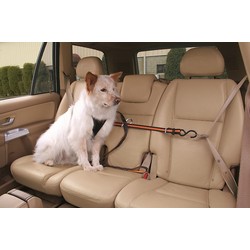 KURGO AUTO ZIP LINE WITH LEASH