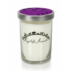 12oz Soy Blend Jar Candle - Wild Berries & Cedar