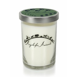 12oz Soy Blend Jar Candle - Sage & Sandalwood